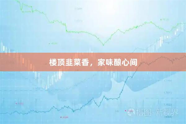 楼顶韭菜香，家味酿心间
