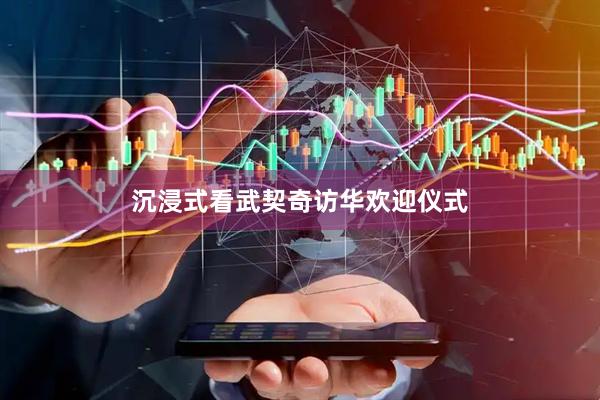 沉浸式看武契奇访华欢迎仪式