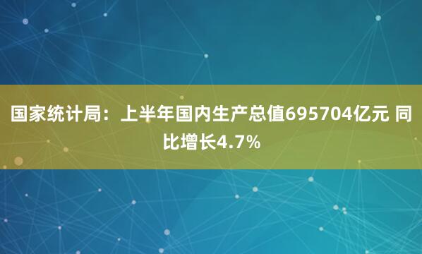 国家统计局：上半年国内生产总值695704亿元 同比增长4.7%